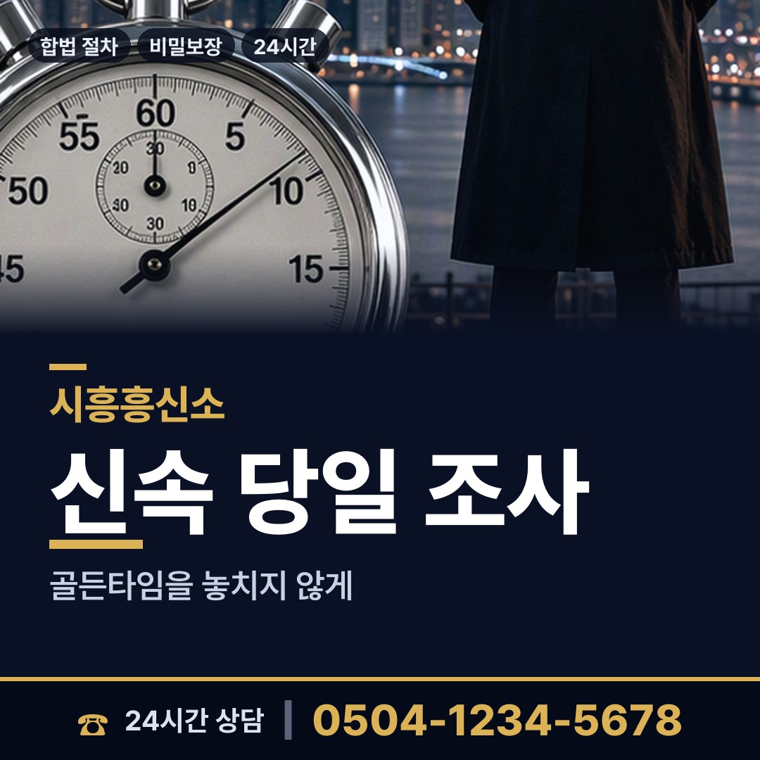 시흥 거북섬동 재산은닉조사 상담 안내
